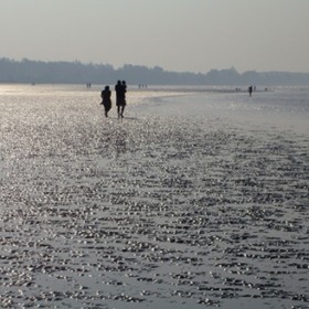 Landscape: Young Family on the Beach
